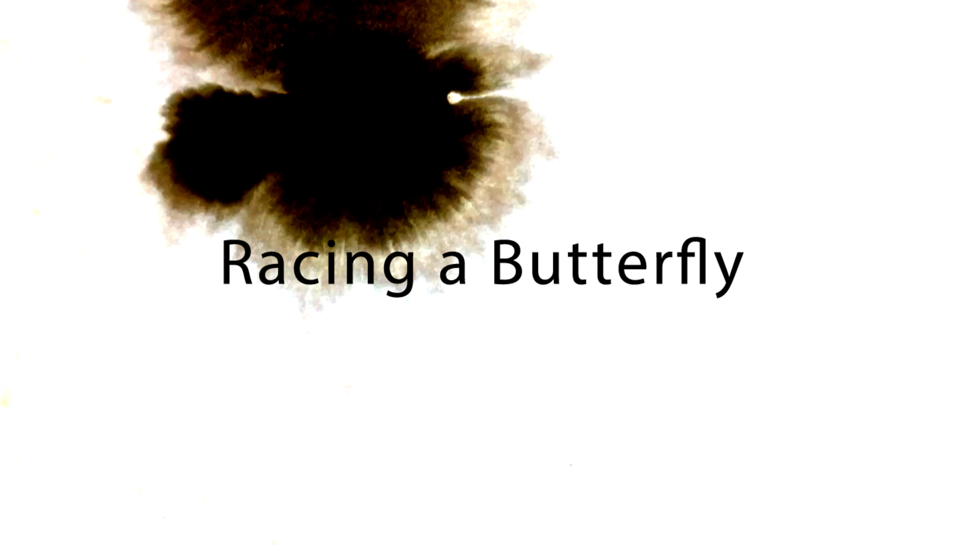 racing a butterfly.Still008